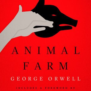 The Barnyard Book Review: A Tale of Animals and Friendship